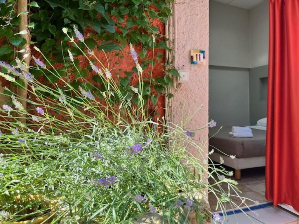 Hotel Le Colbert Авиньон Екстериор снимка